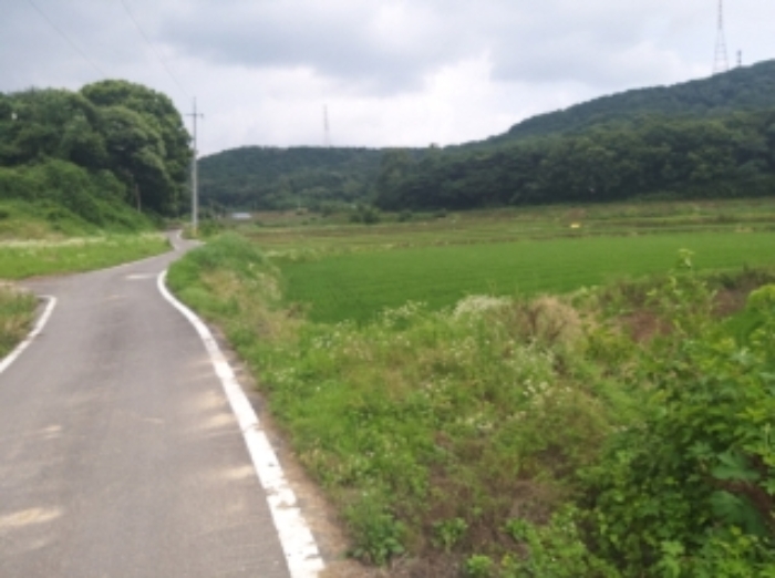 경매 물건 사진