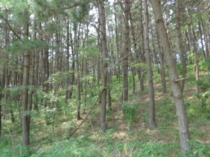 경매 물건 상세 사진