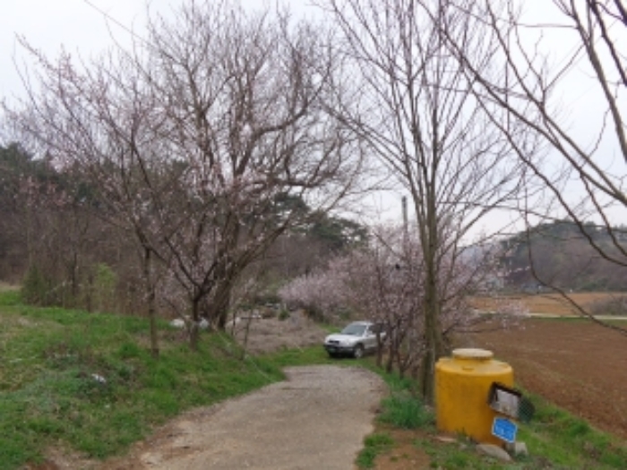 경매 물건 상세 사진
