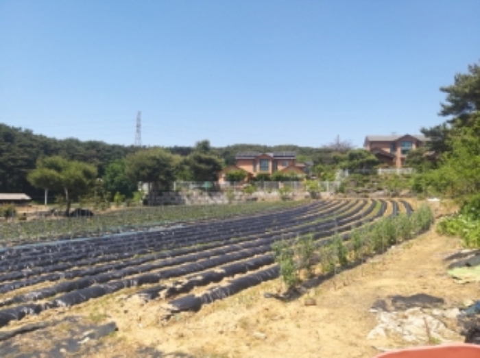 경매 물건 사진