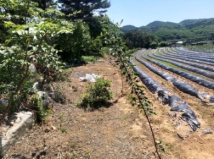 경매 물건 상세 사진