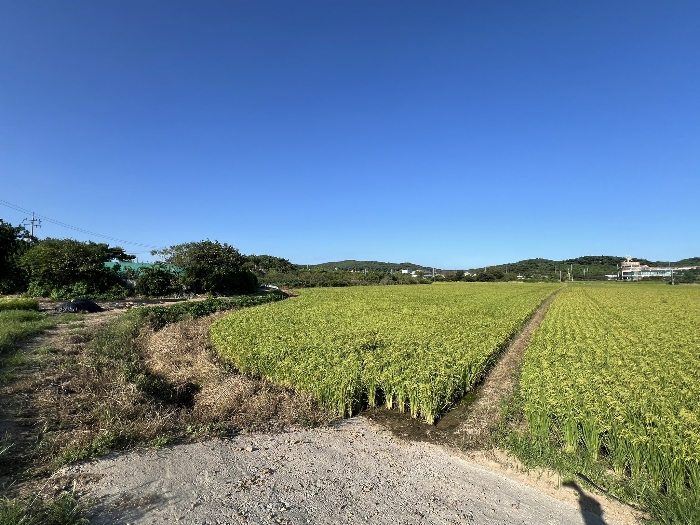 경매 물건 상세 사진