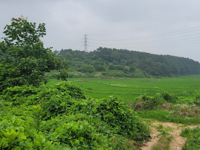 경매 물건 상세 사진