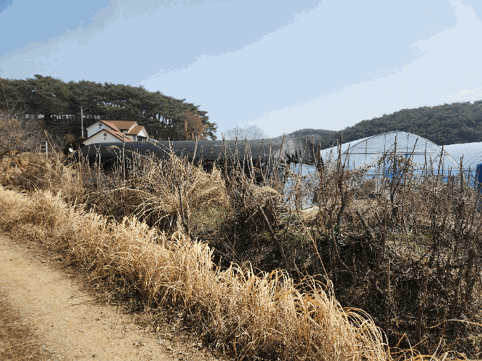 경매 물건 상세 사진