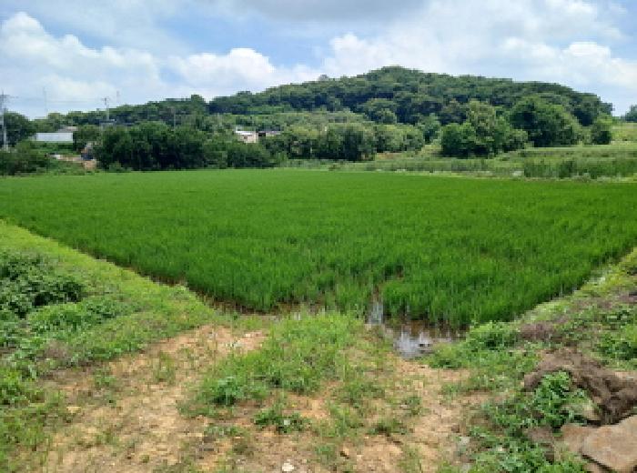 경매 물건 사진