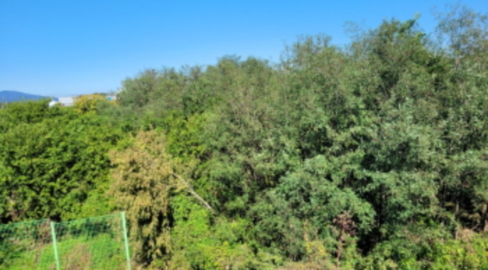 경상북도 경산시 압…