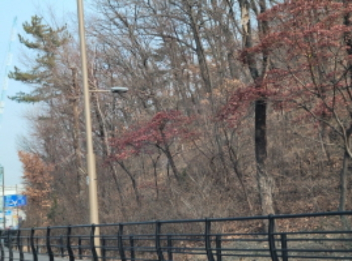 경매 물건 상세 사진