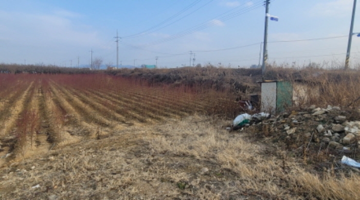 경산 금구리 부동산…