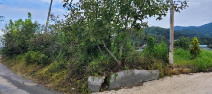 칠곡 북삼읍 부동산…