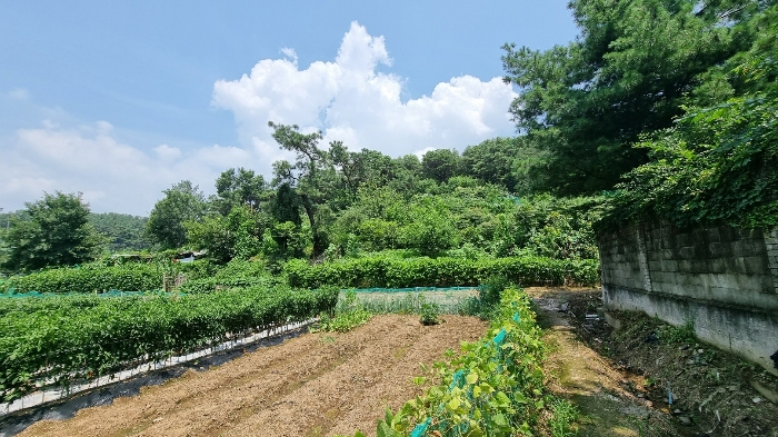 경매 물건 상세 사진