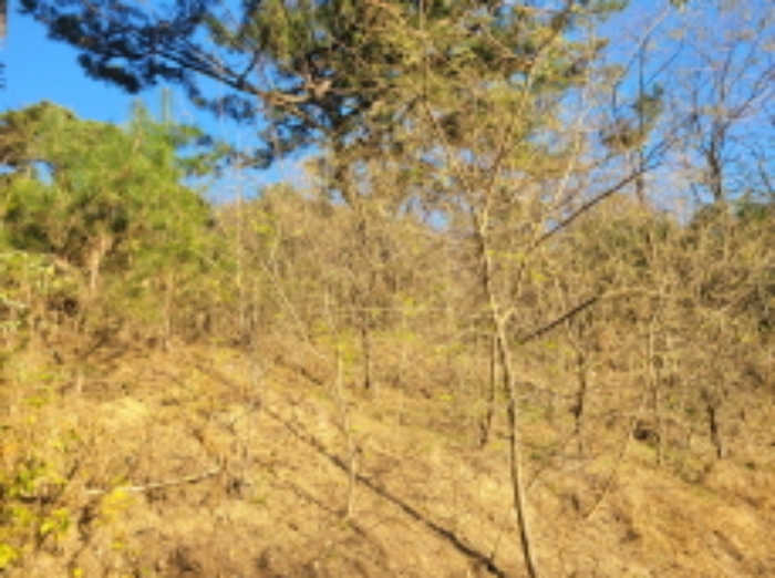 경매 물건 사진