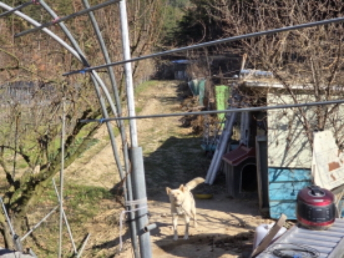 영천 고경면 토지 …