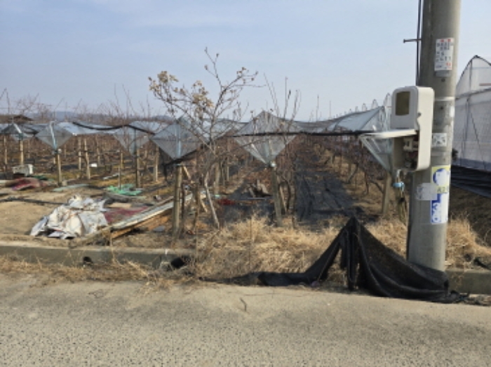 경산 와촌면 부동산…