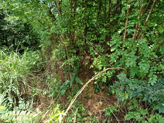 경매 물건 상세 사진