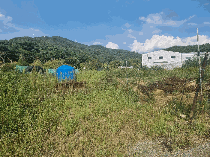 경매 물건 상세 사진