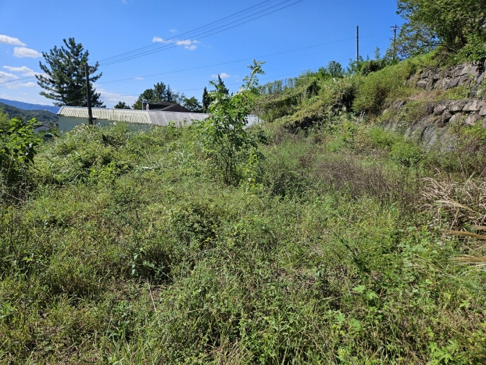 경매 물건 상세 사진