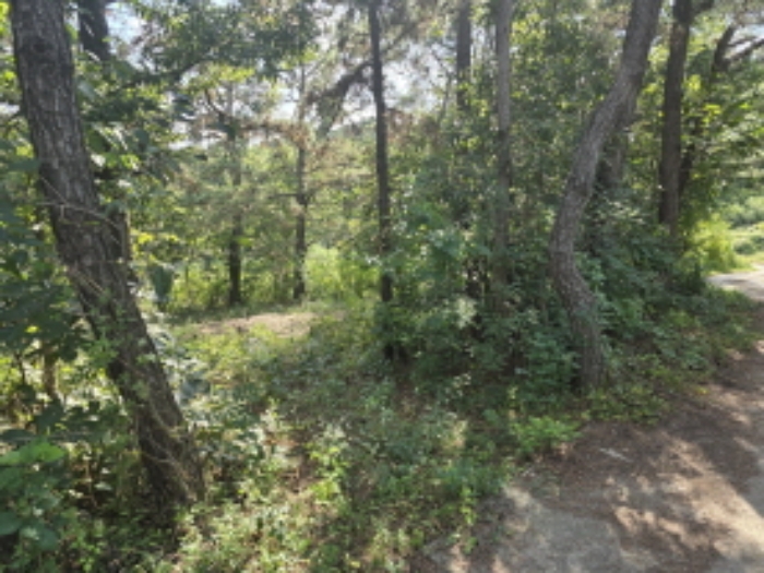 영천 대평리 토지 …