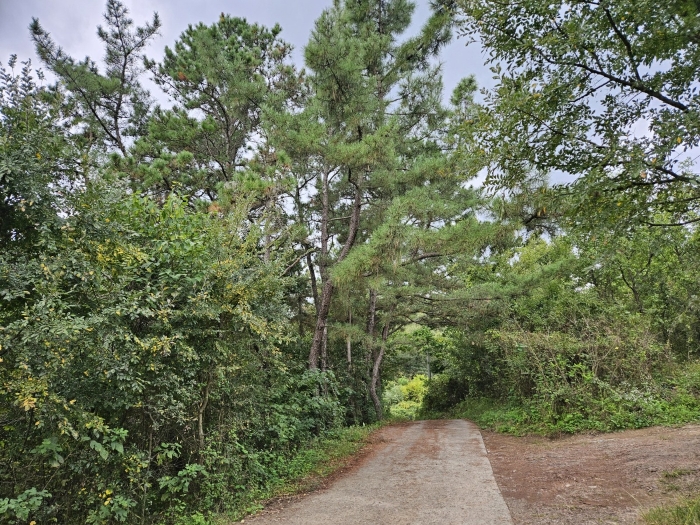 경매 물건 상세 사진