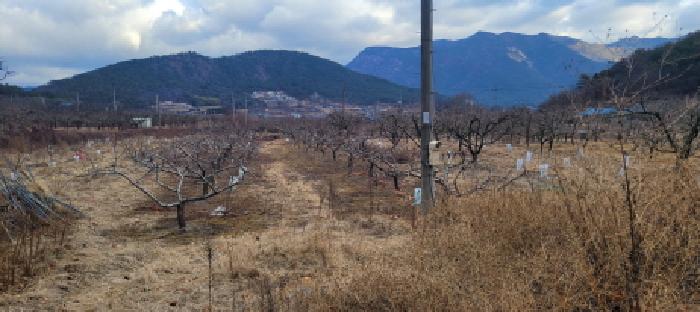 경매 물건 상세 사진