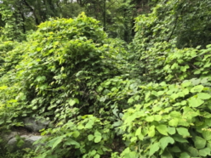 석적읍 토지 경매,…