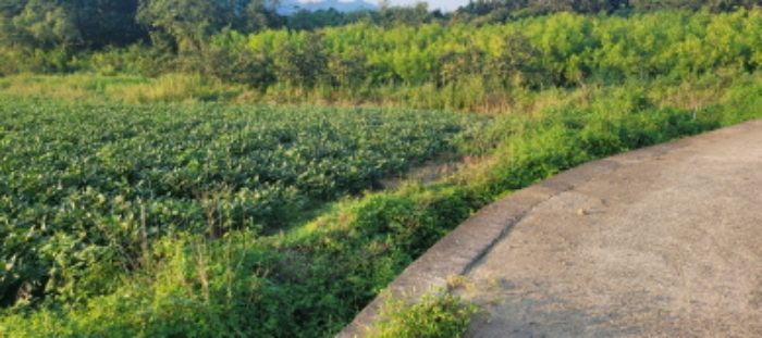 경매 물건 상세 사진