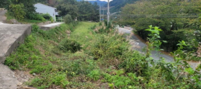 청도 초현리 부동산…