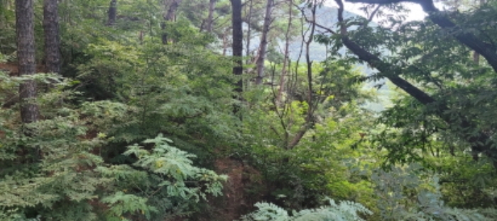 경매 물건 사진