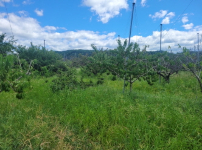 경매 물건 사진