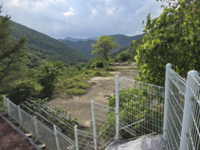 영천 임야 경매, …