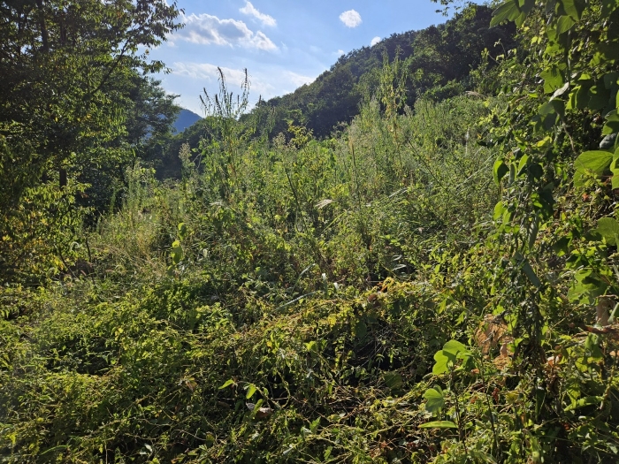 경매 물건 상세 사진