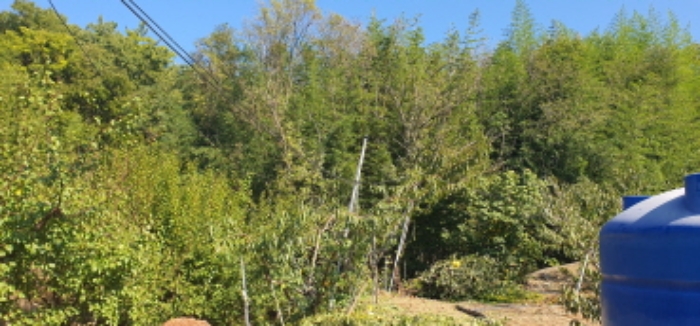 경산 진량읍 부동산…