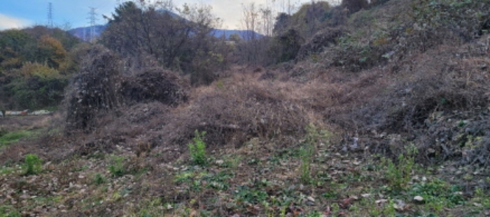 경매 물건 사진