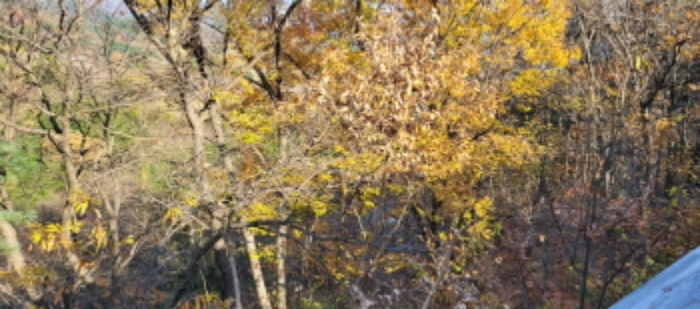 경매 물건 상세 사진