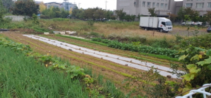 경산 사정동 부동산…