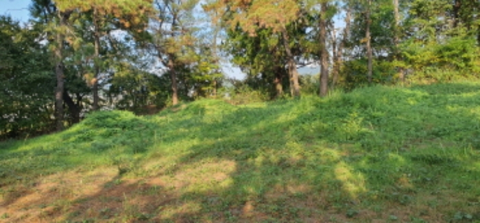 경매 물건 상세 사진