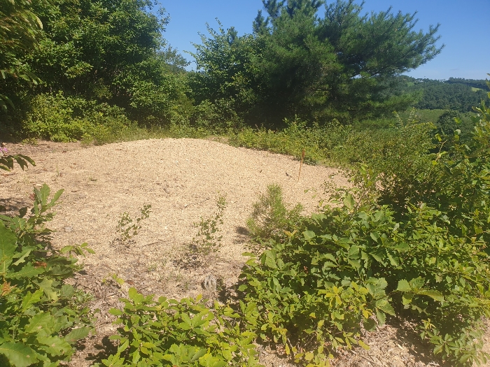 경매 물건 상세 사진