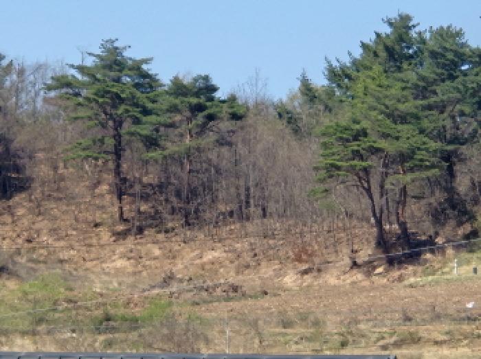 경매 물건 사진