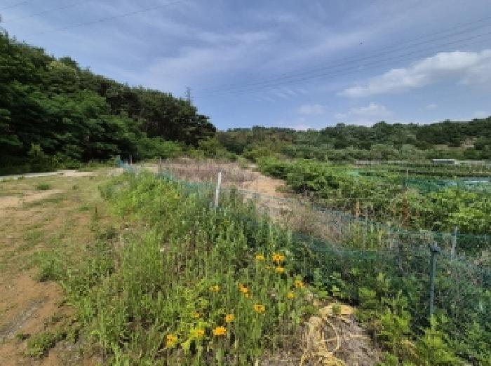 경매 물건 사진