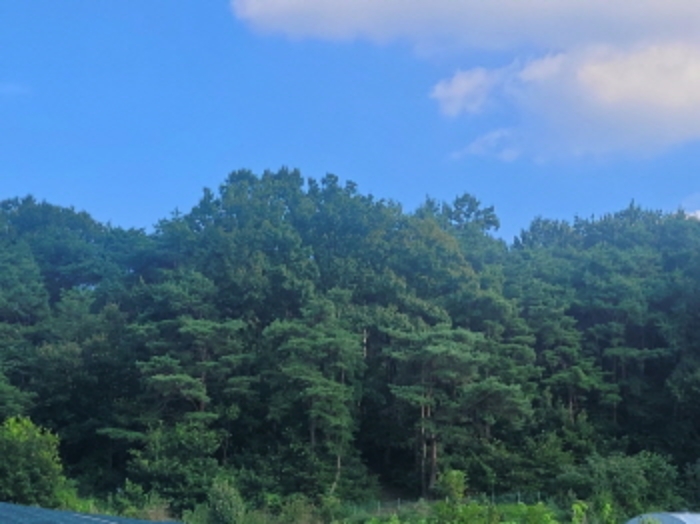 경매 물건 상세 사진