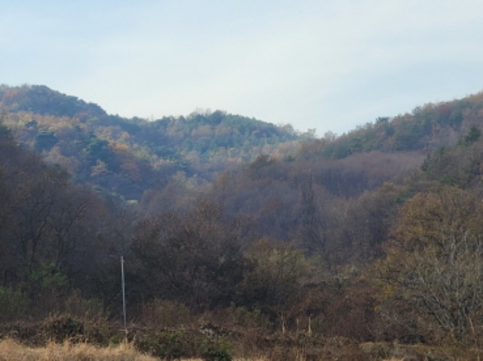 경매 물건 사진