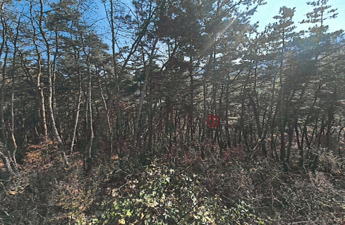 경매 물건 상세 사진