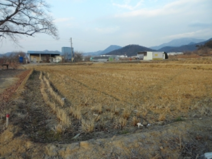 경매 물건 사진