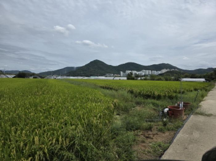 경매 물건 사진