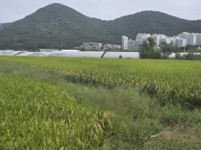 경매 물건 상세 사진