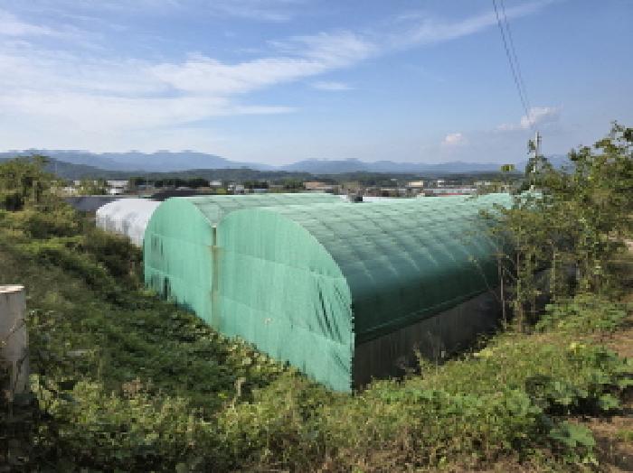 경매 물건 사진