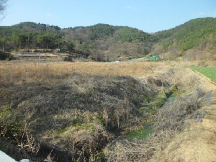 경매 물건 사진