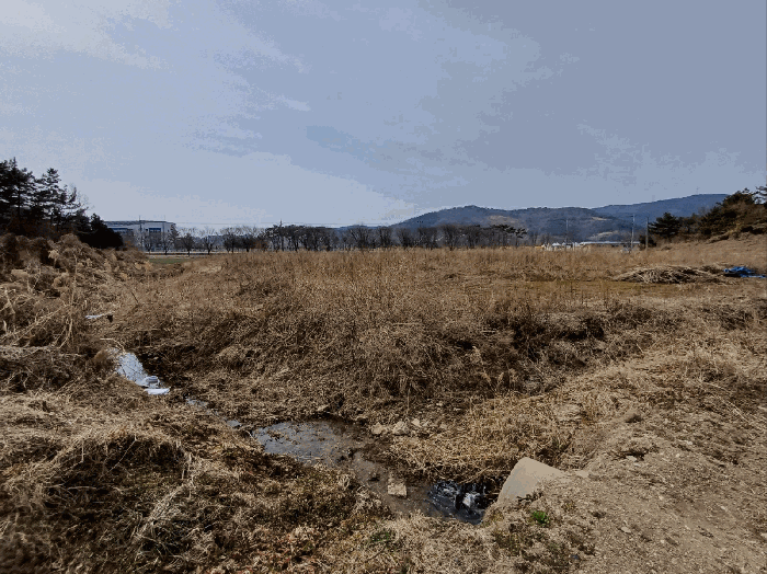 경매 물건 상세 사진