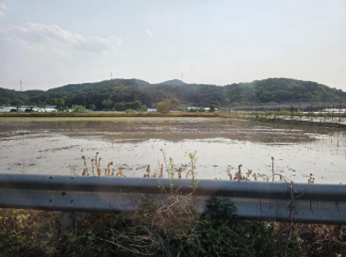 경매 물건 사진