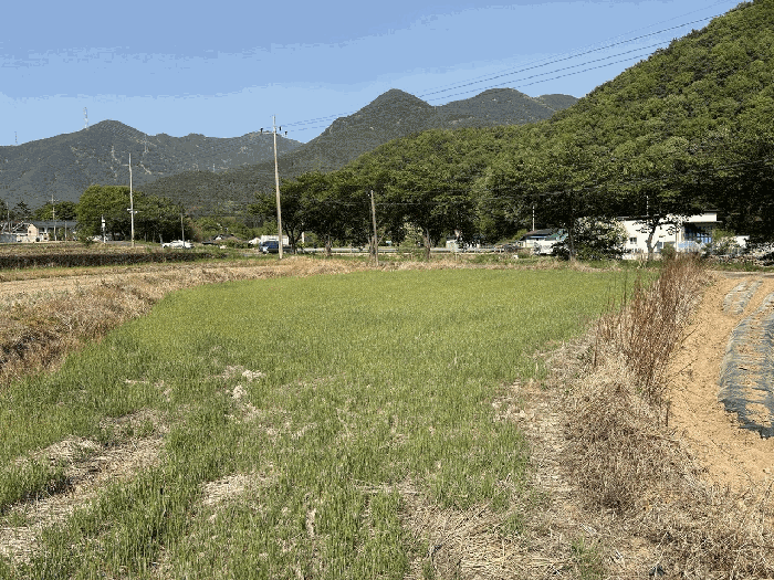 경매 물건 상세 사진