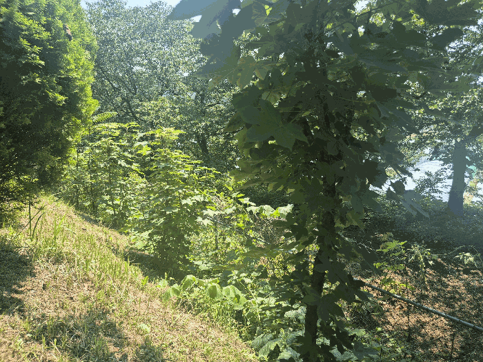 경매 물건 상세 사진